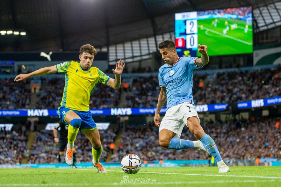 排往往旨在 排往往旨在